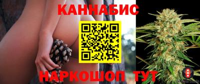 сатива Тара