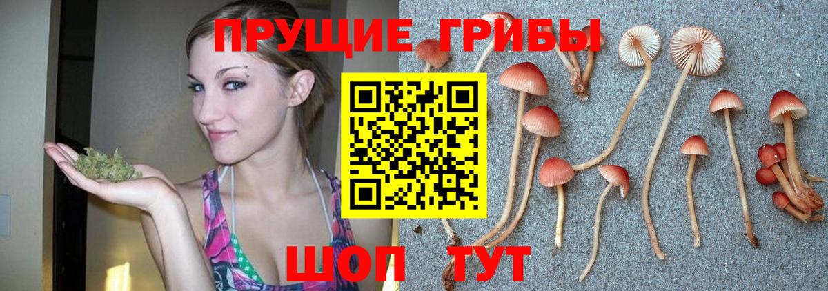 Нефтекумск  Псилоцибиновые грибы ЛСД  Галлюциногенные грибы Cubensis  Вход с VPN 